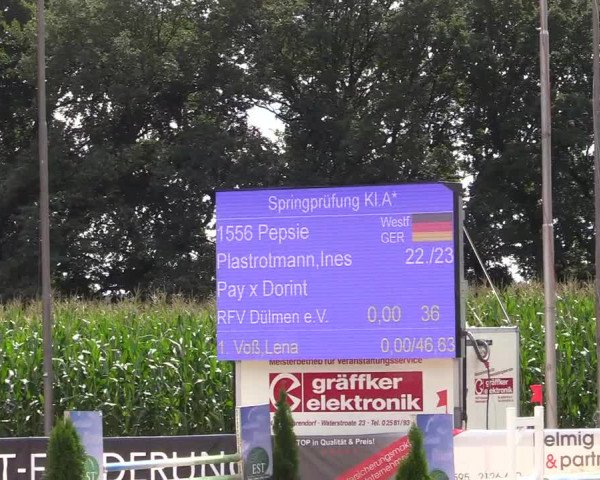 Reitturnier Waltrop 2017