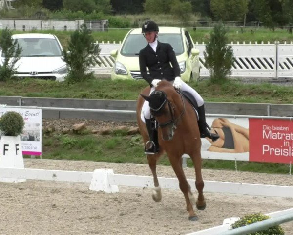 Reitturnier Fröhnerhof 2017