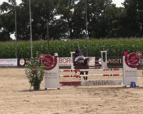 Reitturnier Waltrop 2017