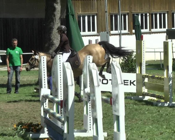 Reitturnier Memmingen 2017