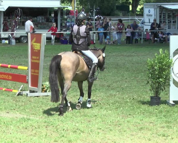 Reitturnier Memmingen 2017