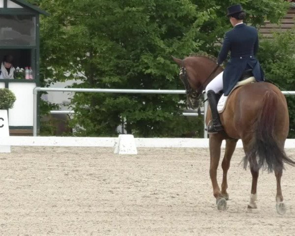 Reitturnier Fröhnerhof 2017