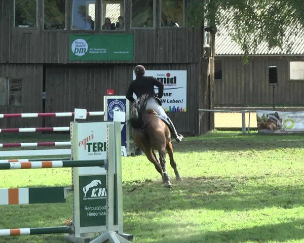 Reitturnier Memmingen 2017