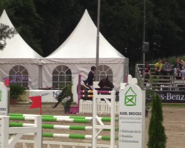 Reitturnier Waltrop 2017