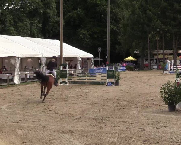 Reitturnier Waltrop 2017