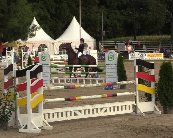 Reitturnier Waltrop 2017
