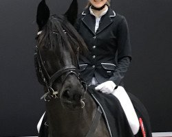 broodmare Cassira 6 (Mecklenburg, 2008, from Carinjo)