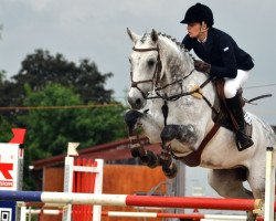 jumper Cayman 20 (Oldenburg show jumper, 2005, from Berlin)