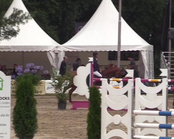 Reitturnier Waltrop 2017