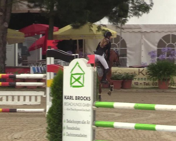 Reitturnier Waltrop 2017
