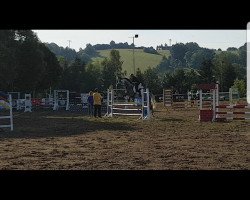 broodmare Cuweria (German Sport Horse, 2012, from Conturio)