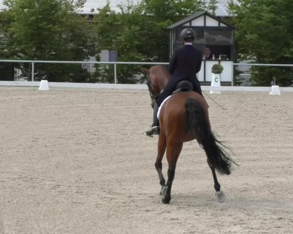 Reitturnier Fröhnerhof 2017