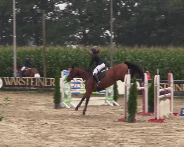 Reitturnier Waltrop 2017
