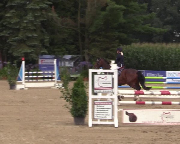 Reitturnier Waltrop 2017
