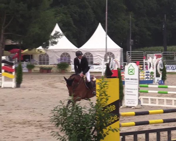 Reitturnier Waltrop 2017