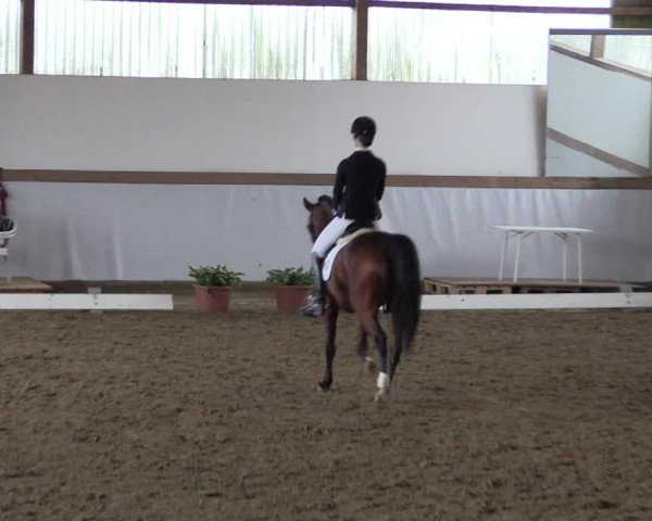 Reitturnier Waltrop 2017
