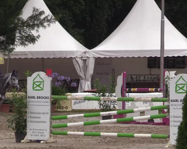 Reitturnier Waltrop 2017