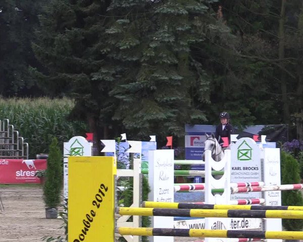 Reitturnier Waltrop 2017