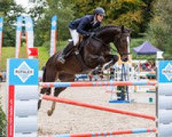 Springpferd Colomera Von Hof Ch (Schweizer Warmblut, 2008, von HRH Colombardo)