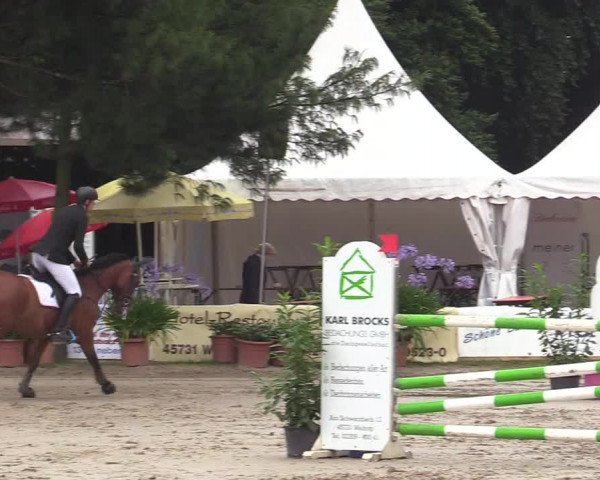 Reitturnier Waltrop 2017