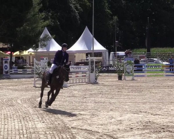 Reitturnier Waltrop 2017