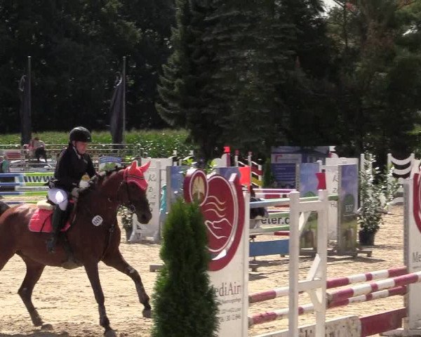 Reitturnier Waltrop 2017