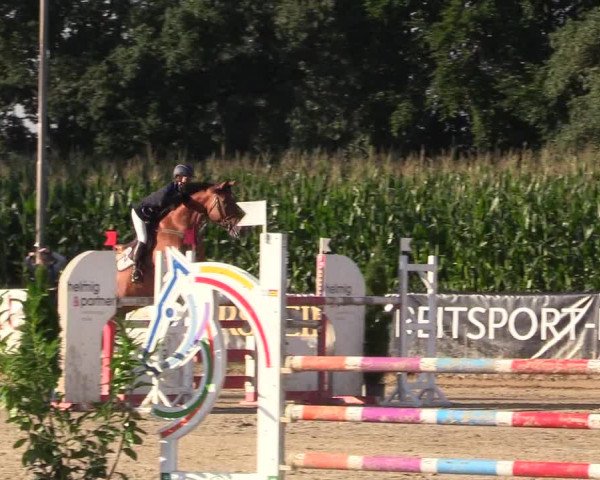 Reitturnier Waltrop 2017