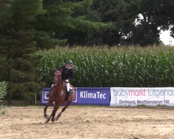 Reitturnier Waltrop 2017