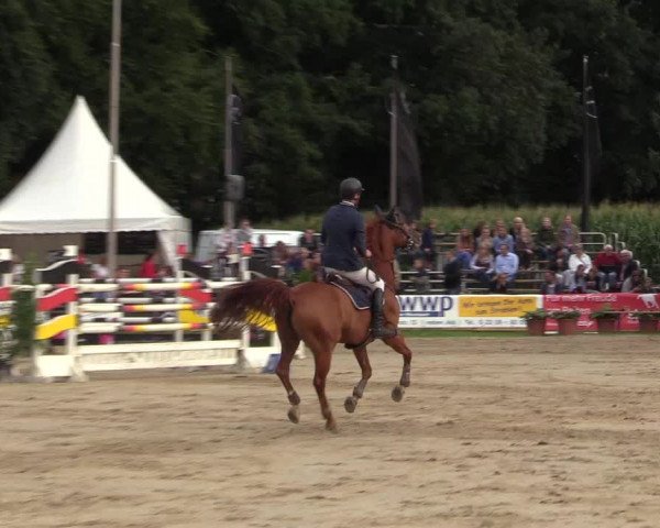 Reitturnier Waltrop 2017