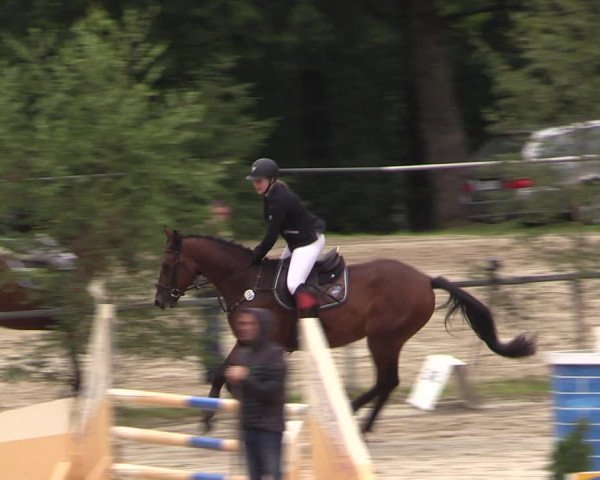 Reitturnier Neunkirchen-Salchendorf 2017