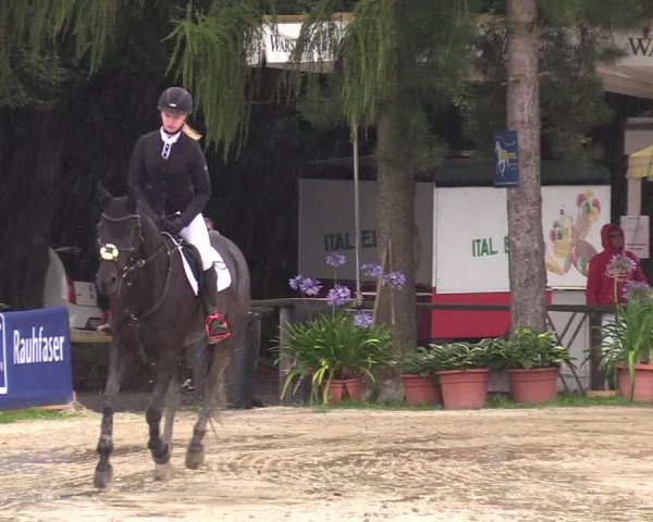 Reitturnier Waltrop 2017