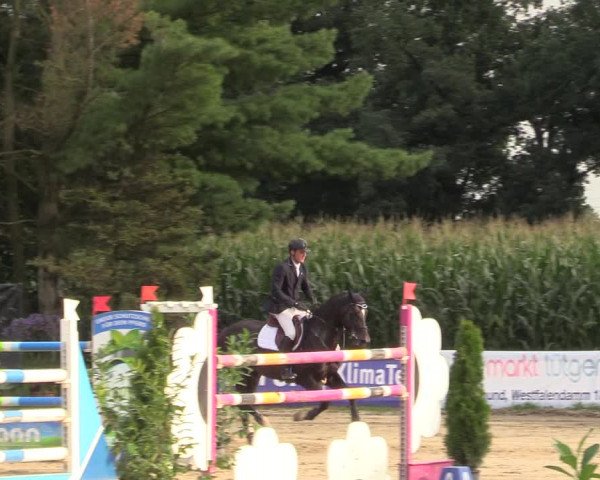 Reitturnier Waltrop 2017