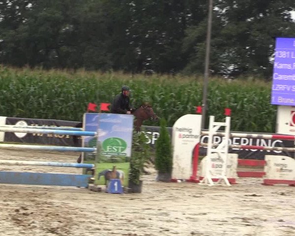 Reitturnier Waltrop 2017
