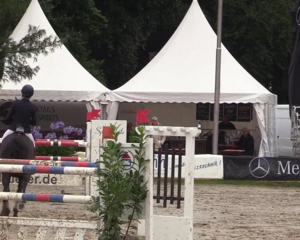 Reitturnier Waltrop 2017