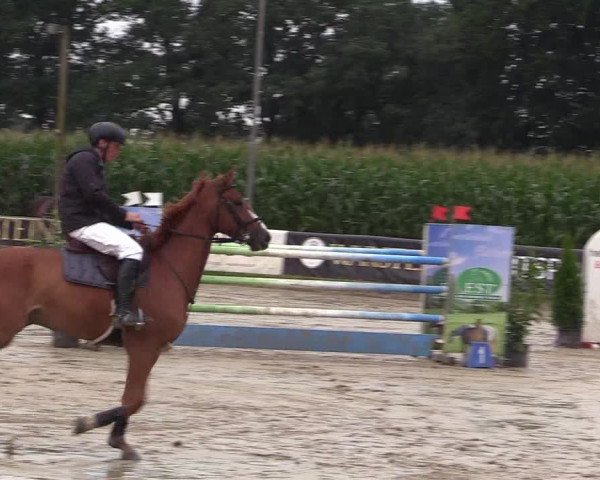 Reitturnier Waltrop 2017