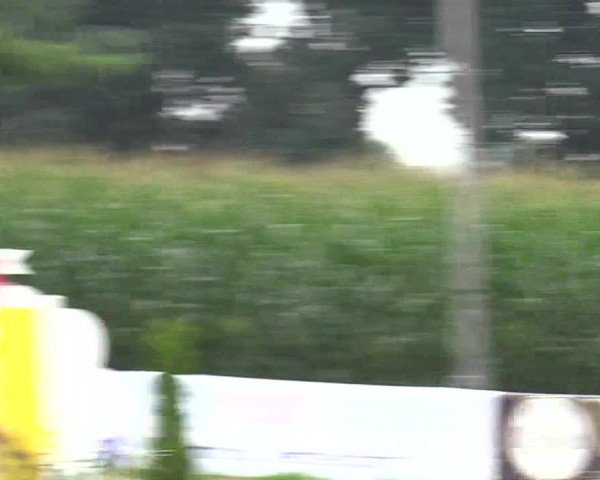Reitturnier Waltrop 2017