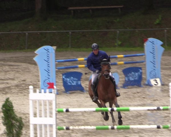 Reitturnier Neunkirchen-Salchendorf 2017