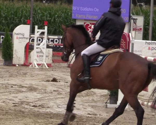Reitturnier Waltrop 2017
