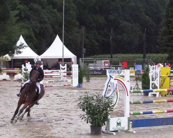 Reitturnier Waltrop 2017