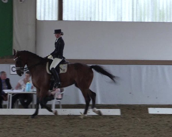 Reitturnier Waltrop 2017
