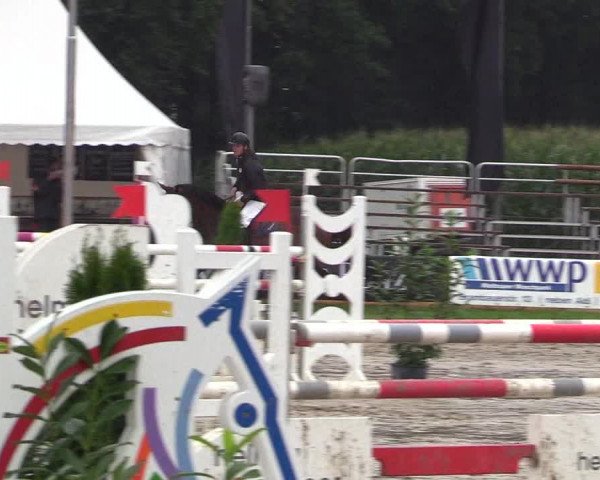 Reitturnier Waltrop 2017