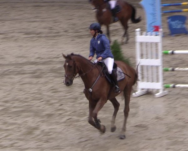 Reitturnier Neunkirchen-Salchendorf 2017