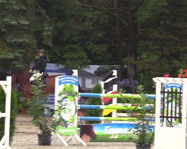 Reitturnier Waltrop 2017