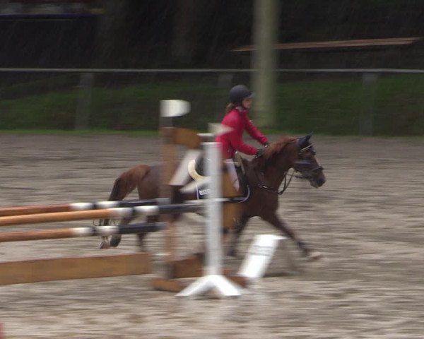 Reitturnier Neunkirchen-Salchendorf 2017