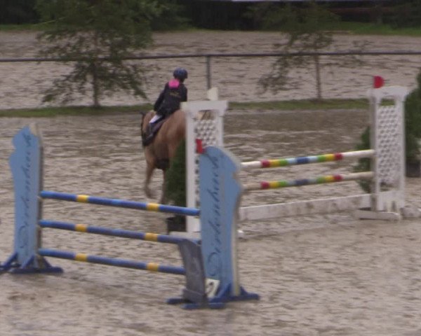 Reitturnier Neunkirchen-Salchendorf 2017