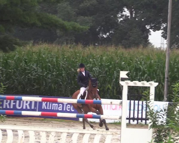 Reitturnier Waltrop 2017