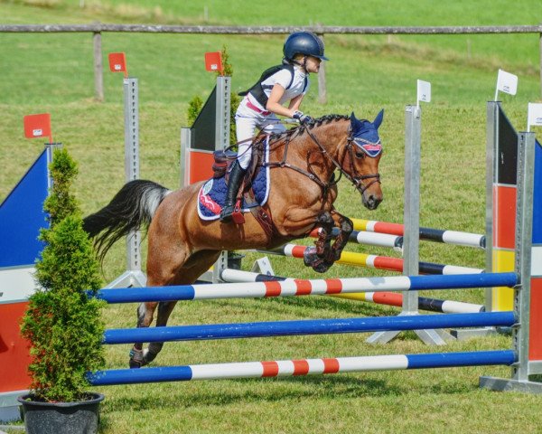 broodmare Großschwaigs Jade (German Riding Pony, 2006, from FS Champion de Luxe)