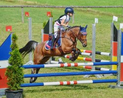 broodmare Großschwaigs Jade (German Riding Pony, 2006, from FS Champion de Luxe)