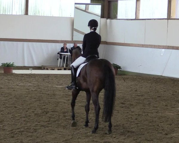 Reitturnier Waltrop 2017