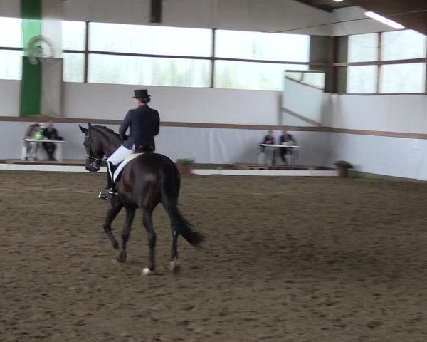 Reitturnier Waltrop 2017